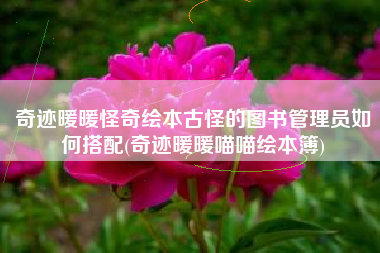 奇迹暖暖怪奇绘本古怪的图书管理员如何搭配(奇迹暖暖喵喵绘本簿)