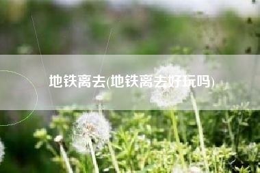 地铁离去(地铁离去好玩吗)