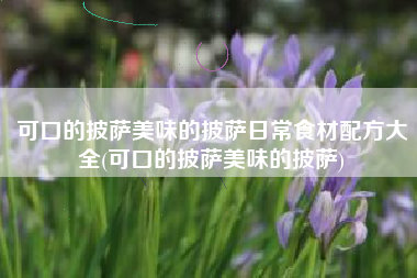 可口的披萨美味的披萨日常食材配方大全(可口的披萨美味的披萨)