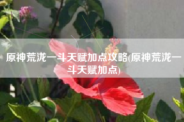 原神荒泷一斗天赋加点攻略(原神荒泷一斗天赋加点)