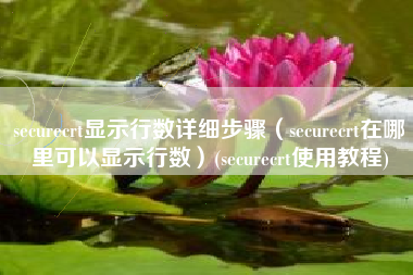 securecrt显示行数详细步骤（securecrt在哪里可以显示行数）(securecrt使用教程)