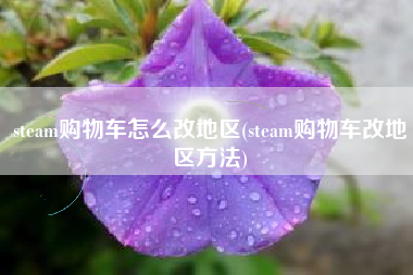 steam购物车怎么改地区(steam购物车改地区方法)