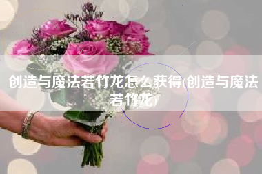 创造与魔法若竹龙怎么获得(创造与魔法若竹龙)