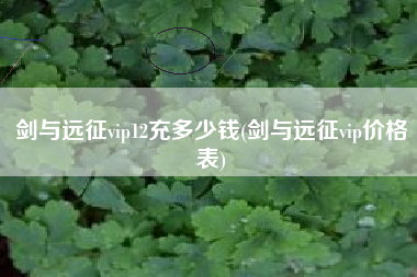 剑与远征vip12充多少钱(剑与远征vip价格表)