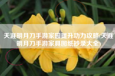 天涯明月刀手游家园提升功力攻略(天涯明月刀手游家具图纸抄录大全)