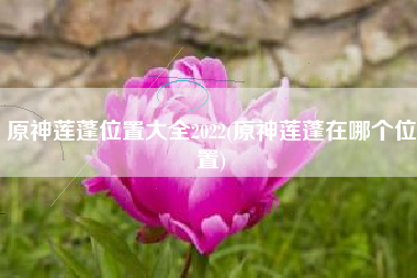 原神莲蓬位置大全2022(原神莲蓬在哪个位置)