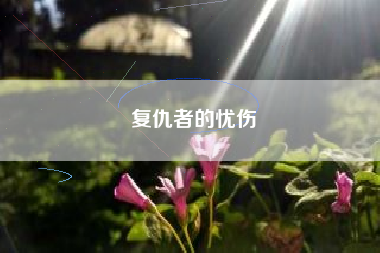 复仇者的忧伤