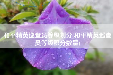 和平精英巡查员等级划分(和平精英巡查员等级积分数量)