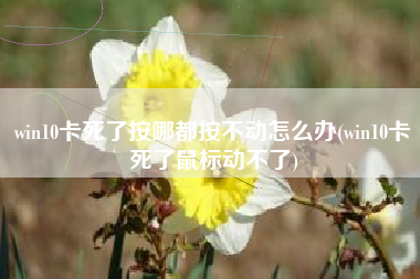 win10卡死了按哪都按不动怎么办(win10卡死了鼠标动不了)