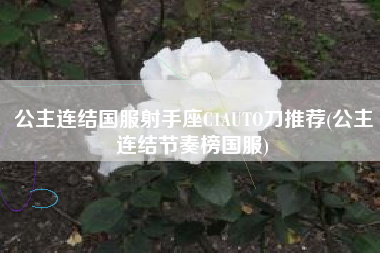 公主连结国服射手座C1AUTO刀推荐(公主连结节奏榜国服)