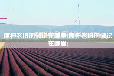原神老旧的徽记在哪里(原神老旧的徽记在哪里)