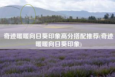 奇迹暖暖向日葵印象高分搭配推荐(奇迹暖暖向日葵印象)