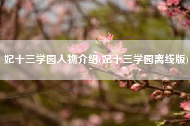 妃十三学园人物介绍(妃十三学园离线版)
