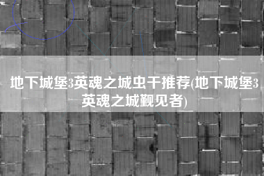地下城堡3英魂之城虫干推荐(地下城堡3英魂之城觐见者)