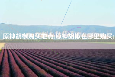 原神胡椒购买地点(原神胡椒在哪里购买)