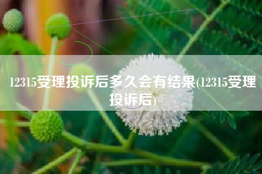 12315受理投诉后多久会有结果(12315受理投诉后)