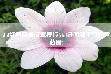 dnf红黄蓝绿徽章模板(dnf进图脚下有红黄蓝圈)
