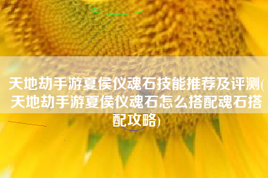 天地劫手游夏侯仪魂石技能推荐及评测(天地劫手游夏侯仪魂石怎么搭配魂石搭配攻略)