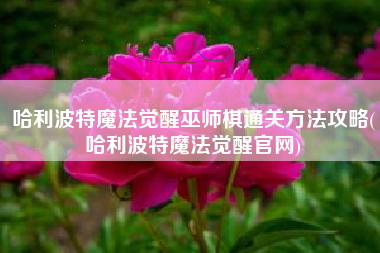 哈利波特魔法觉醒巫师棋通关方法攻略(哈利波特魔法觉醒官网)