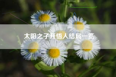 太阳之子开悟人结局一览