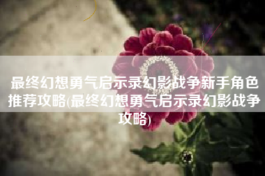 最终幻想勇气启示录幻影战争新手角色推荐攻略(最终幻想勇气启示录幻影战争攻略)