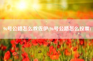 96号公路怎么救佐伊(96号公路怎么投票)
