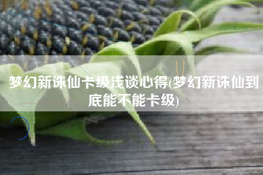 梦幻新诛仙卡级浅谈心得(梦幻新诛仙到底能不能卡级)