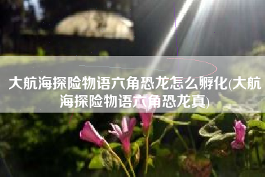 大航海探险物语六角恐龙怎么孵化(大航海探险物语六角恐龙真)