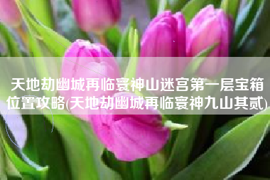 天地劫幽城再临寰神山迷宫第一层宝箱位置攻略(天地劫幽城再临寰神九山其贰)