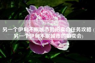 另一个伊甸不眠城市的拍卖会任务攻略 (另一个伊甸不眠城市的拍卖会)