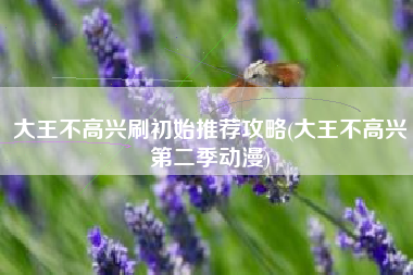 大王不高兴刷初始推荐攻略(大王不高兴第二季动漫)