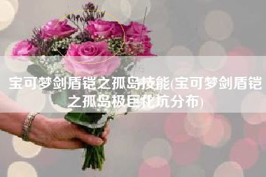 宝可梦剑盾铠之孤岛技能(宝可梦剑盾铠之孤岛极巨化坑分布)