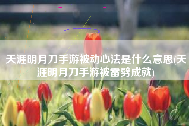 天涯明月刀手游被动心法是什么意思(天涯明月刀手游被雷劈成就)