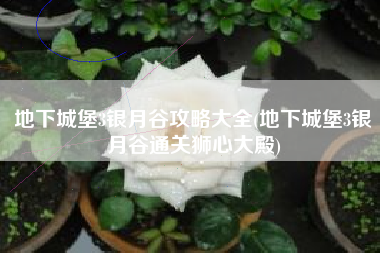 地下城堡3银月谷攻略大全(地下城堡3银月谷通关狮心大殿)