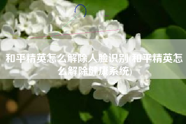 和平精英怎么解除人脸识别(和平精英怎么解除健康系统)