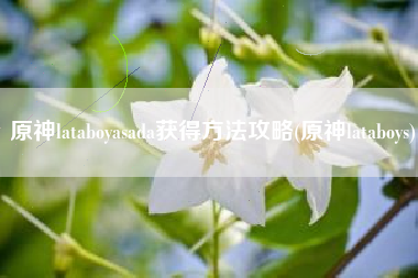 原神lataboyasada获得方法攻略(原神lataboys)