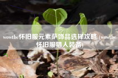 wowtbc怀旧服元素萨饰品选择攻略 (wowtbc怀旧服猎人装备)
