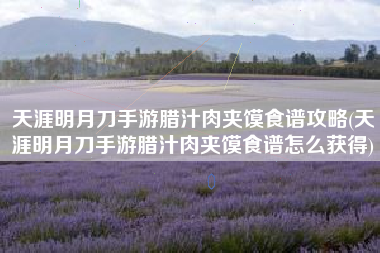 天涯明月刀手游腊汁肉夹馍食谱攻略(天涯明月刀手游腊汁肉夹馍食谱怎么获得)