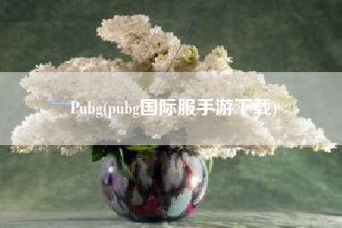 Pubg(pubg国际服手游下载)