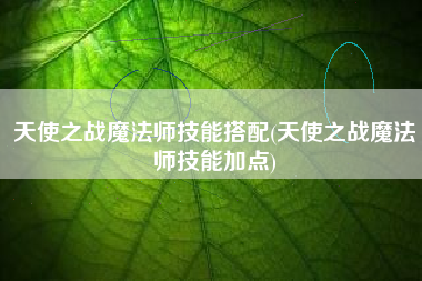 天使之战魔法师技能搭配(天使之战魔法师技能加点)
