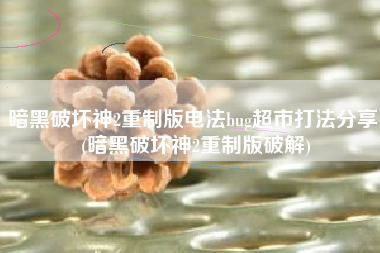 暗黑破坏神2重制版电法bug超市打法分享 (暗黑破坏神2重制版破解)