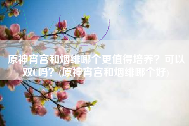 原神宵宫和烟绯哪个更值得培养？可以双C吗？(原神宵宫和烟绯哪个好)