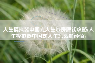 人生模拟器中国式人生炒房赚钱攻略(人生模拟器中国式人生怎么加颜值)