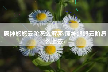 原神悠悠云阶怎么解密(原神悠悠云阶怎么上去)