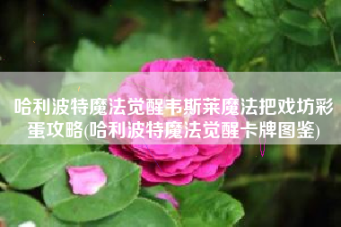 哈利波特魔法觉醒韦斯莱魔法把戏坊彩蛋攻略(哈利波特魔法觉醒卡牌图鉴)