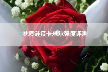 梦境链接卡米尔强度评测