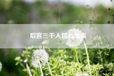 后宫三千人信心加点