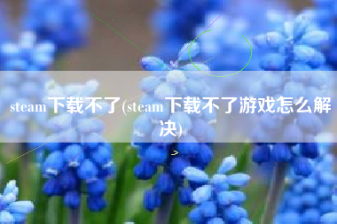 steam下载不了(steam下载不了游戏怎么解决)