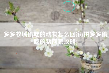 多多牧场偷吃的动物怎么回家(拼多多偷吃的猪回家攻略)