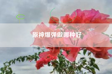 原神爆弹做哪种好